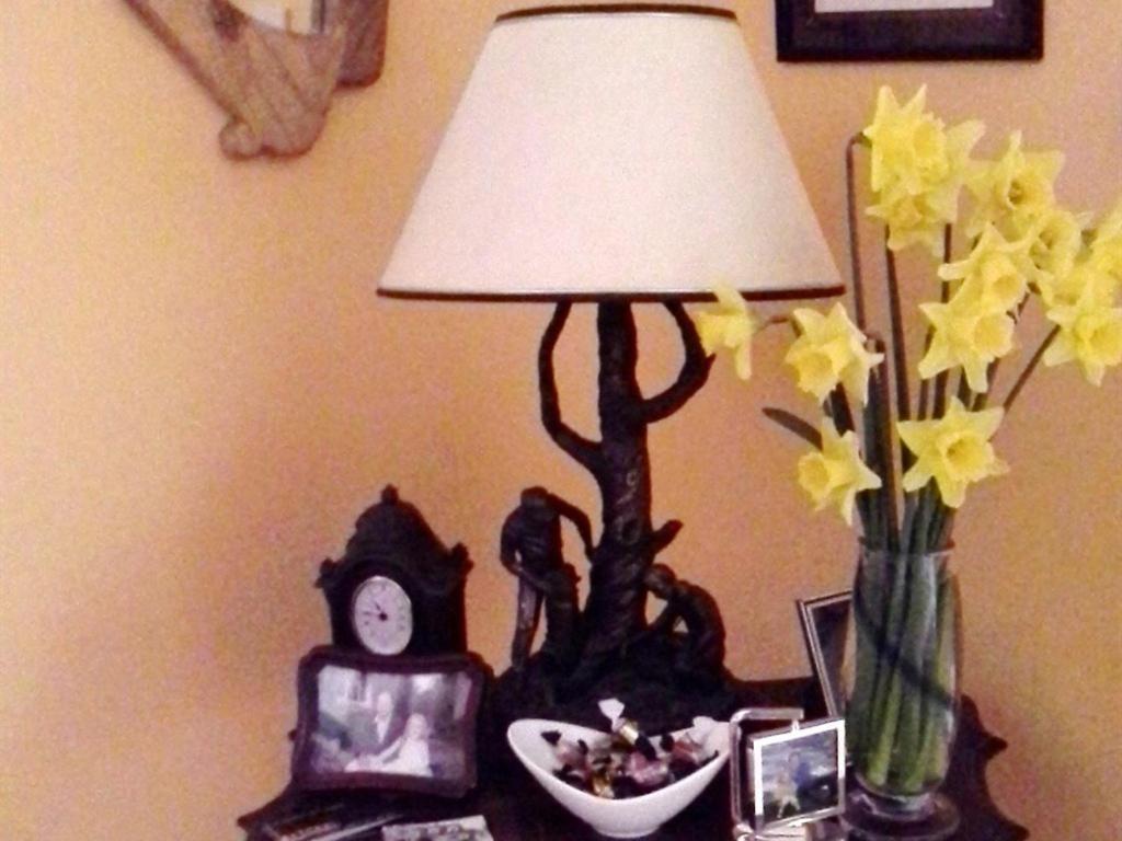 Blossom Hill Bed And Breakfast Killaloe Exterior foto