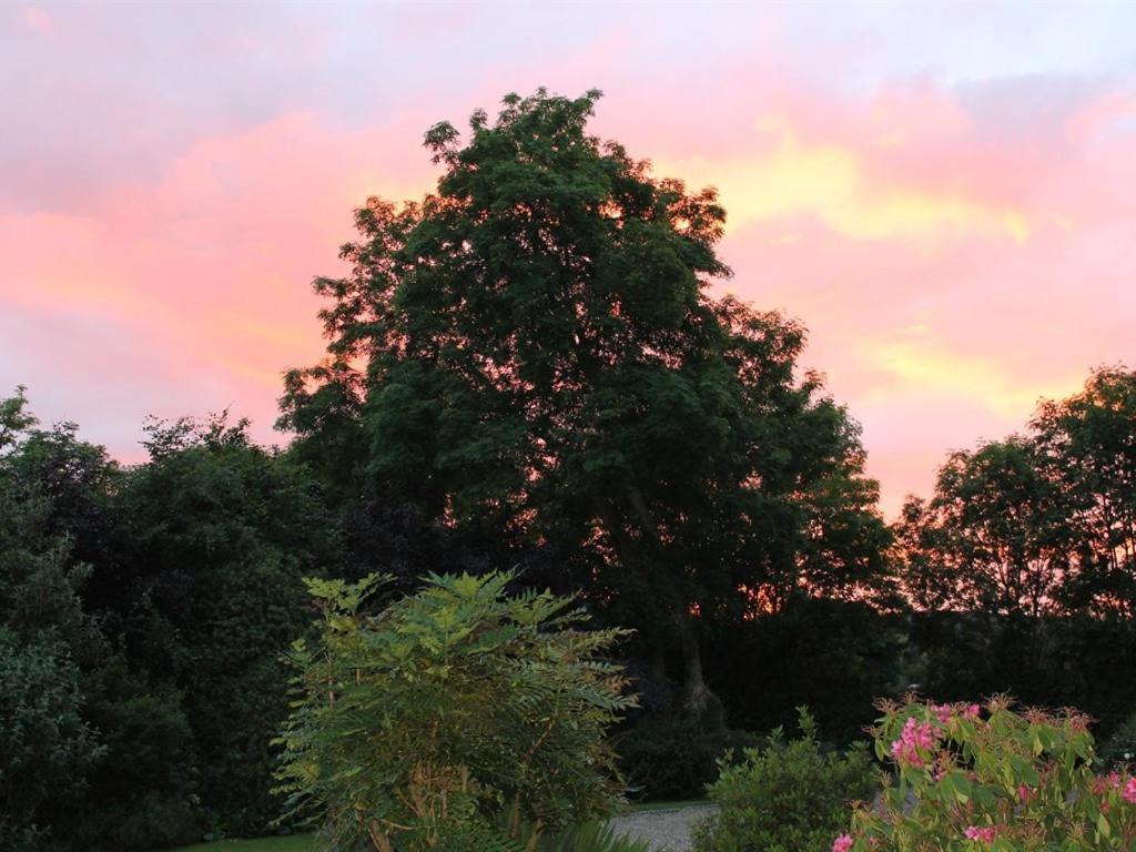 Blossom Hill Bed And Breakfast Killaloe Exterior foto